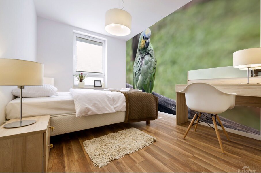 Beautiful Bird Mural print