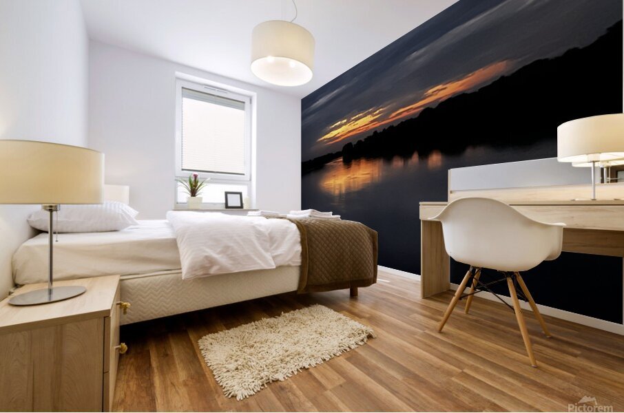 Evening in the Amazon Mural print