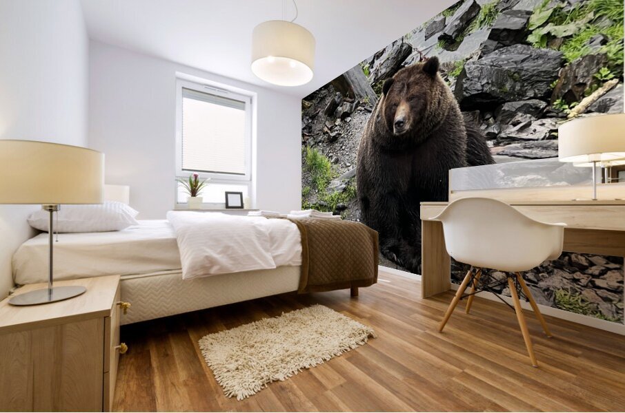 Alaskan Bear Mural print