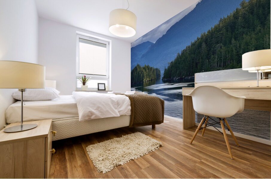 Inside Passage Alaska Mural print