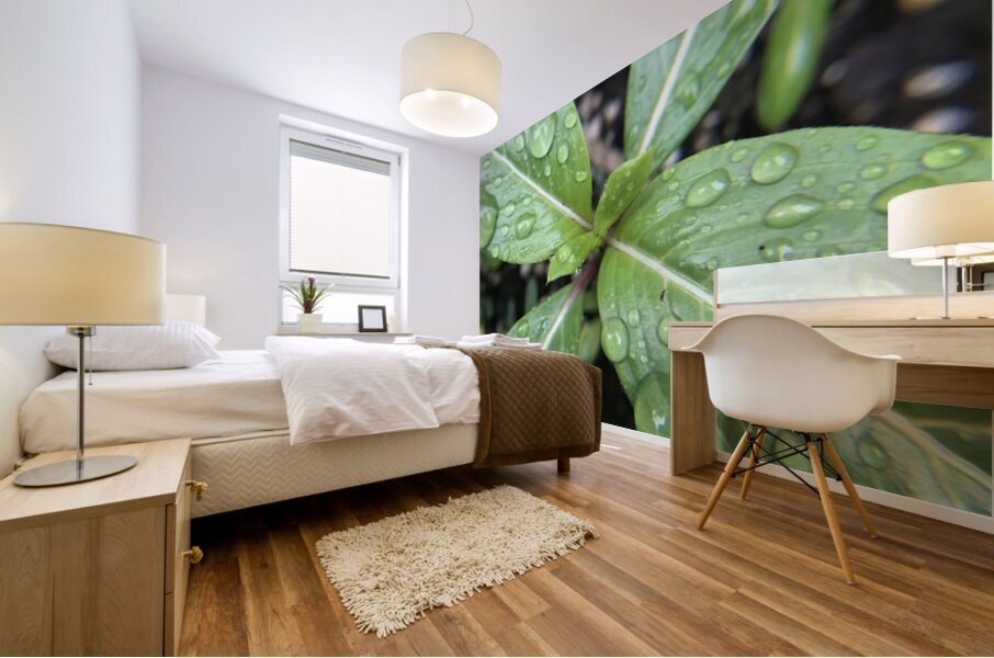Rain Drops Mural print