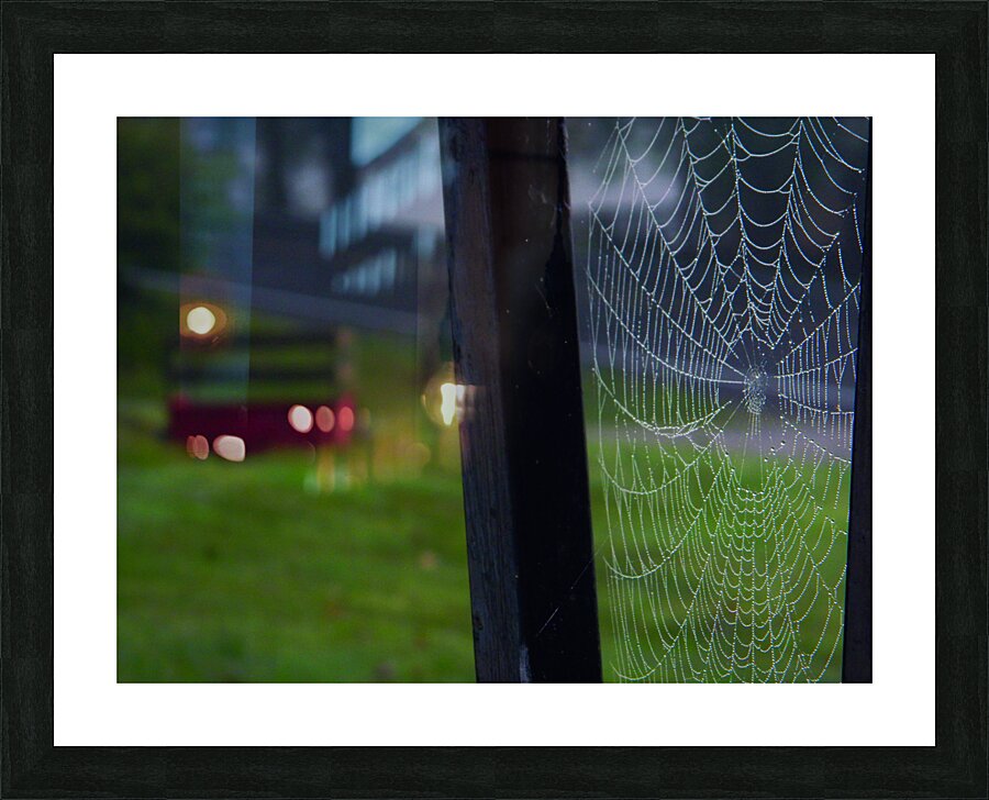 Morning Dew Picture Frame print