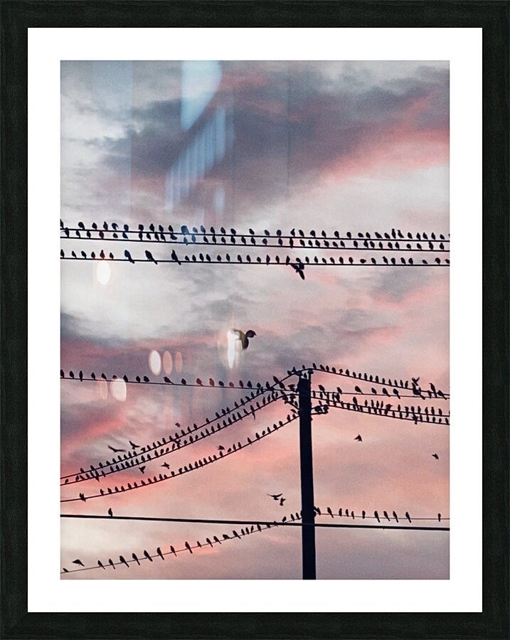 Birds on a Wire Picture Frame print