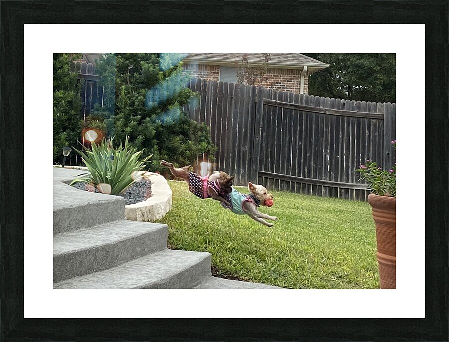 Perfect Form Puppies Picture Frame print