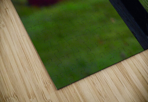 Morning Dew Designer Becky puzzle