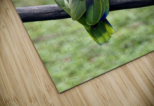 Beautiful Bird Designer Becky puzzle