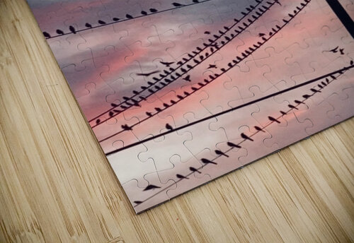 Birds on a Wire Designer Becky puzzle