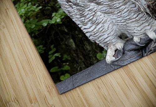 Owl Designer Becky puzzle