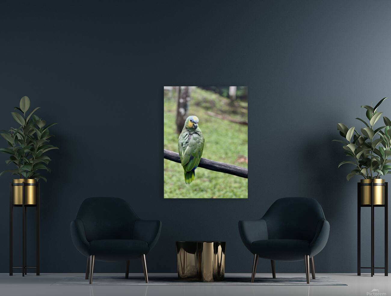 Beautiful Bird Reproduction