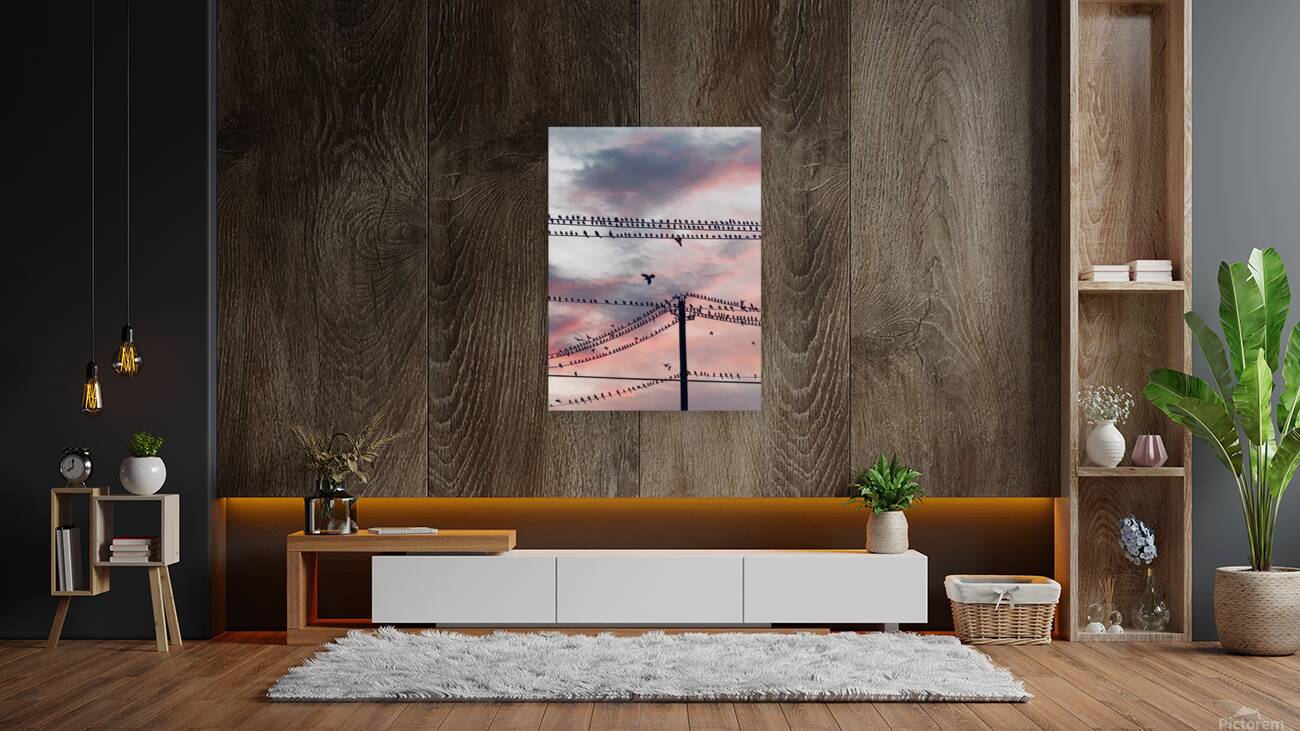 Birds on a Wire Reproduction