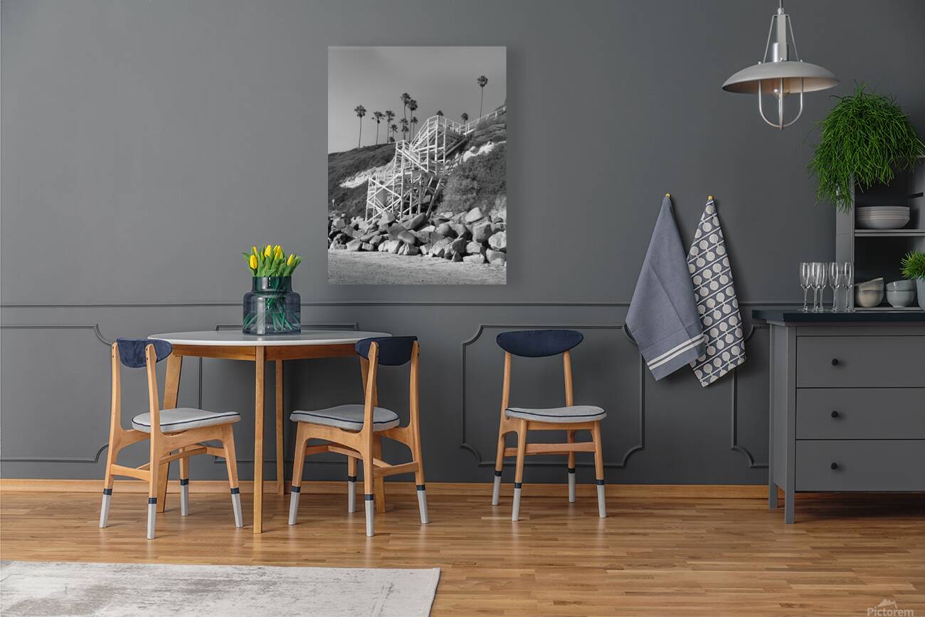 Encinitas California Reproduction
