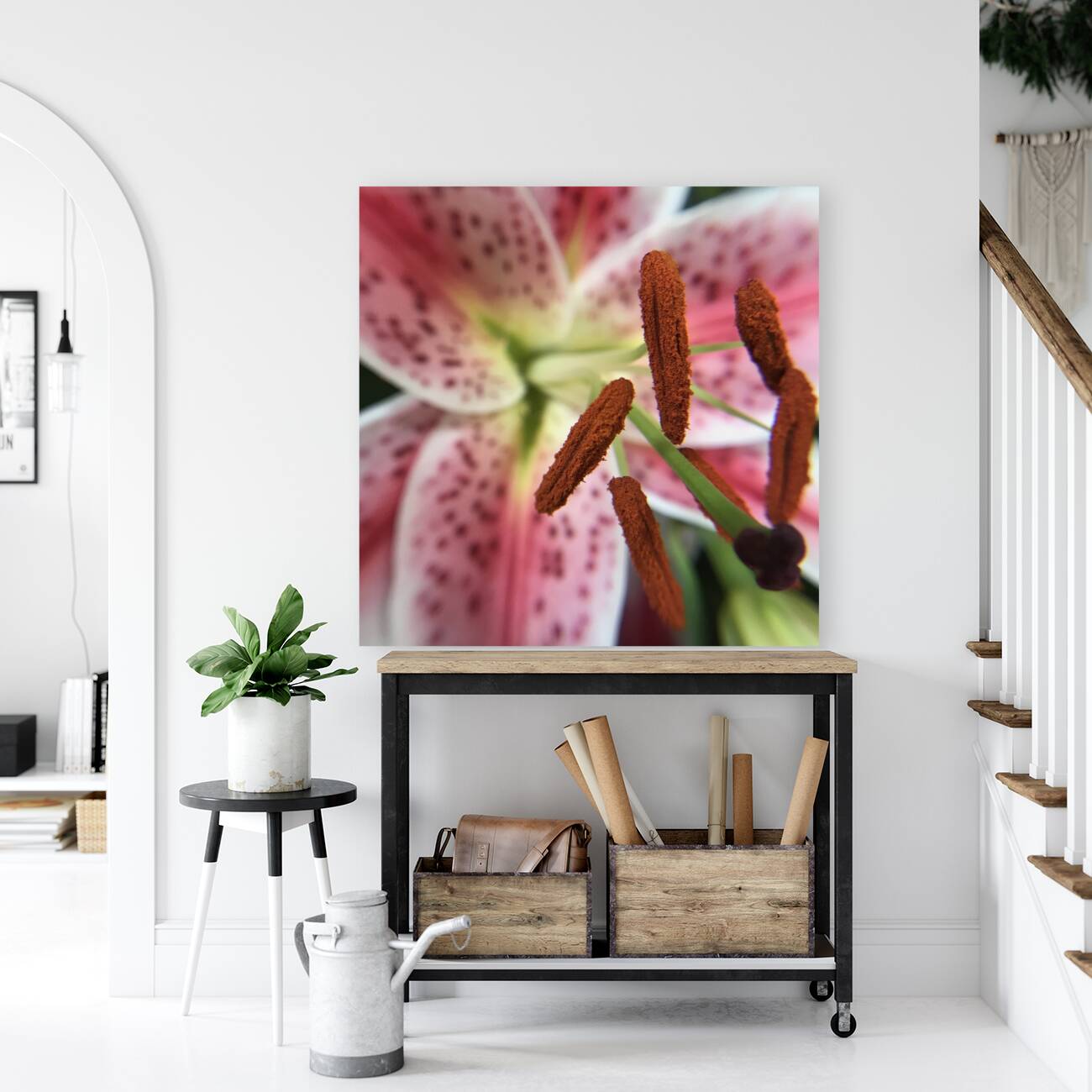 Stargazer Lilly Reproduction