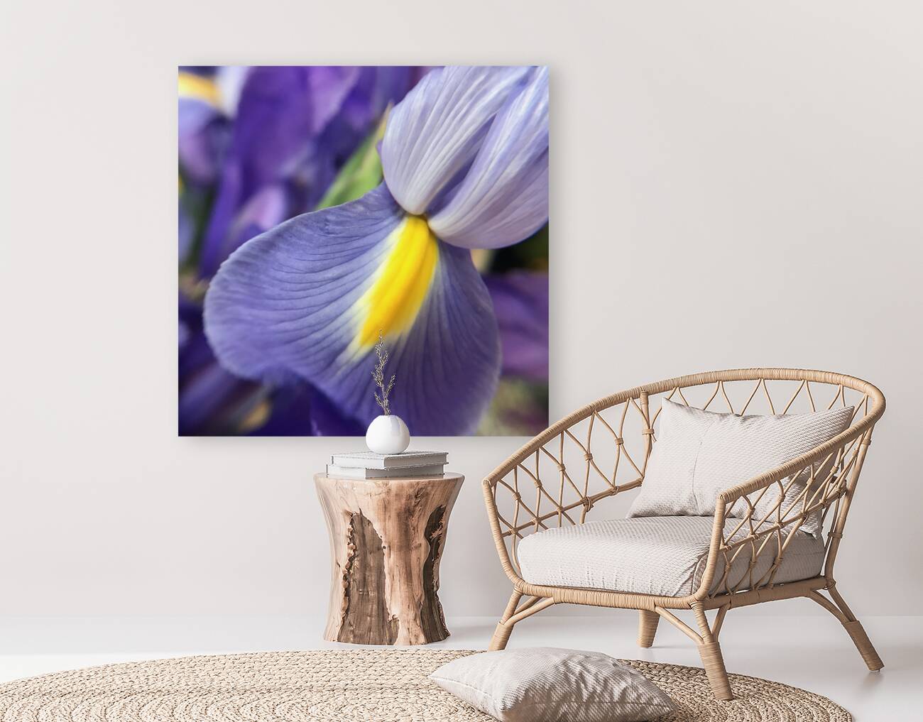 Iris Reproduction