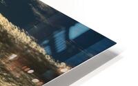 IMG 3247 HD Metal print