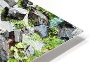 Alaskan Bear HD Metal print