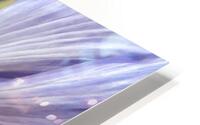 Iris HD Metal print