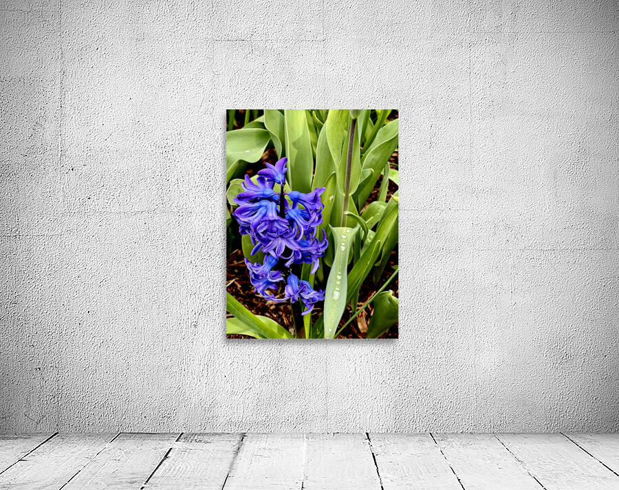 RainDrops 40x53 Wall Preview