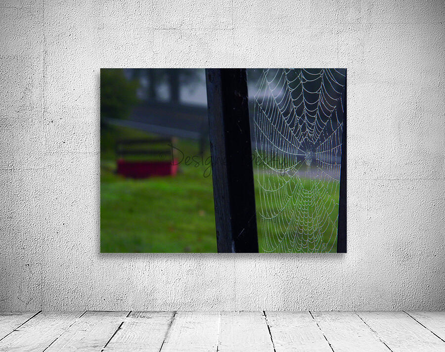 Morning Dew Wall Preview