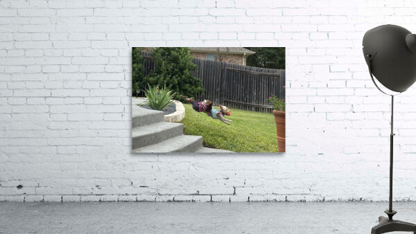Perfect Form Puppies Wall Preview