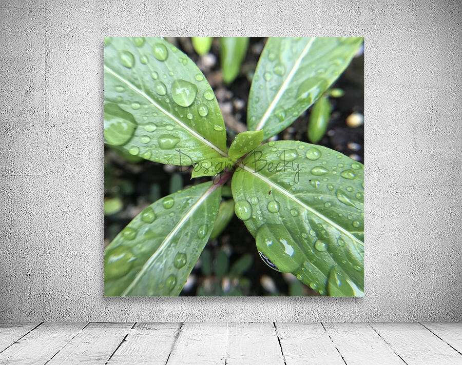 Rain Drops Wall Preview