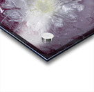 DSC0493 copy Acrylic print