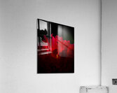 DSC0903 Acrylic Print