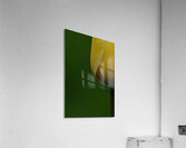 DSC0074 copy Acrylic Print