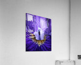 DSC0374.1 Acrylic Print