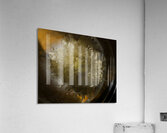 DSC0603.1 Acrylic Print