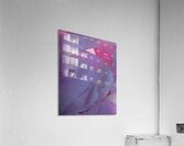 DSC0001 Acrylic Print