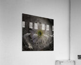 DSC0530.1 Acrylic Print