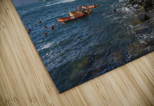 Riomaggiore day time Brad Scott puzzle