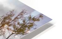 Glen Etive River vertical HD Metal print