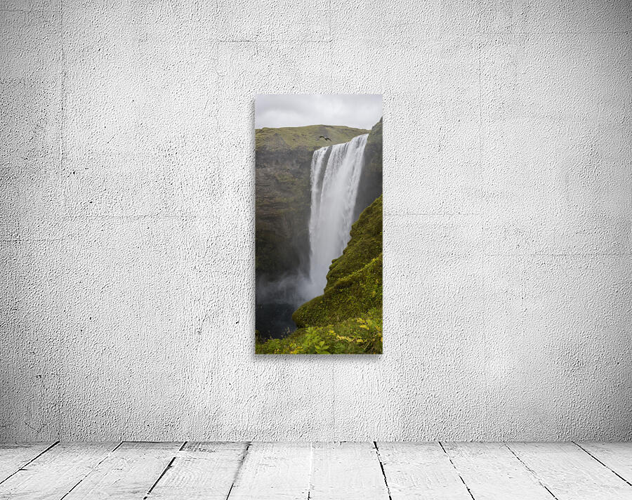 skogafoss seagull Wall Preview