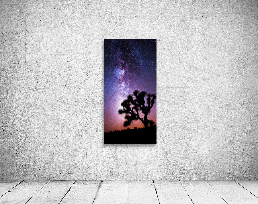 Midnight Bloom Wall Preview