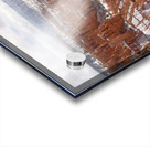 Bryce Canyon 5 Acrylic print