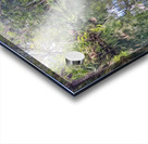 Silver Springs Acrylic print