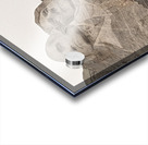 Mt Rushmore 1 Acrylic print