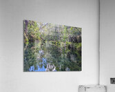 Silver Springs Acrylic Print
