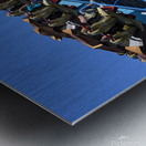 Cedar Point Metal print