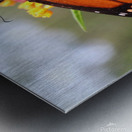 Butterfly Metal print