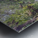 Silver Springs Metal print