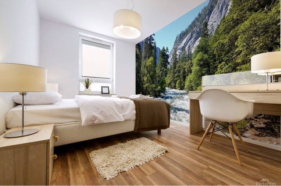 Yosemite 2 Mural print