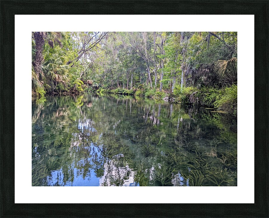 Silver Springs Picture Frame print