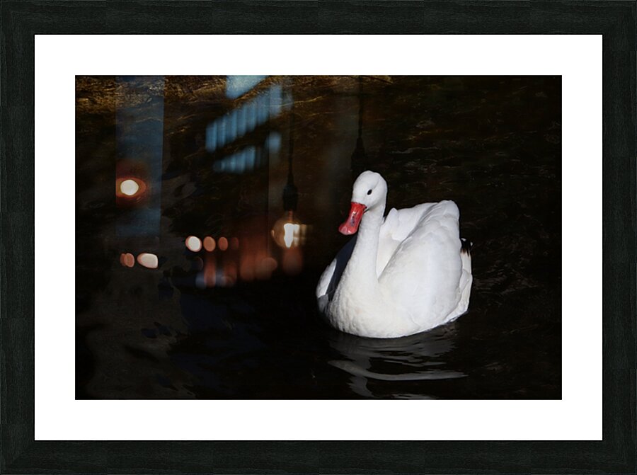 Swan 1037E Picture Frame print