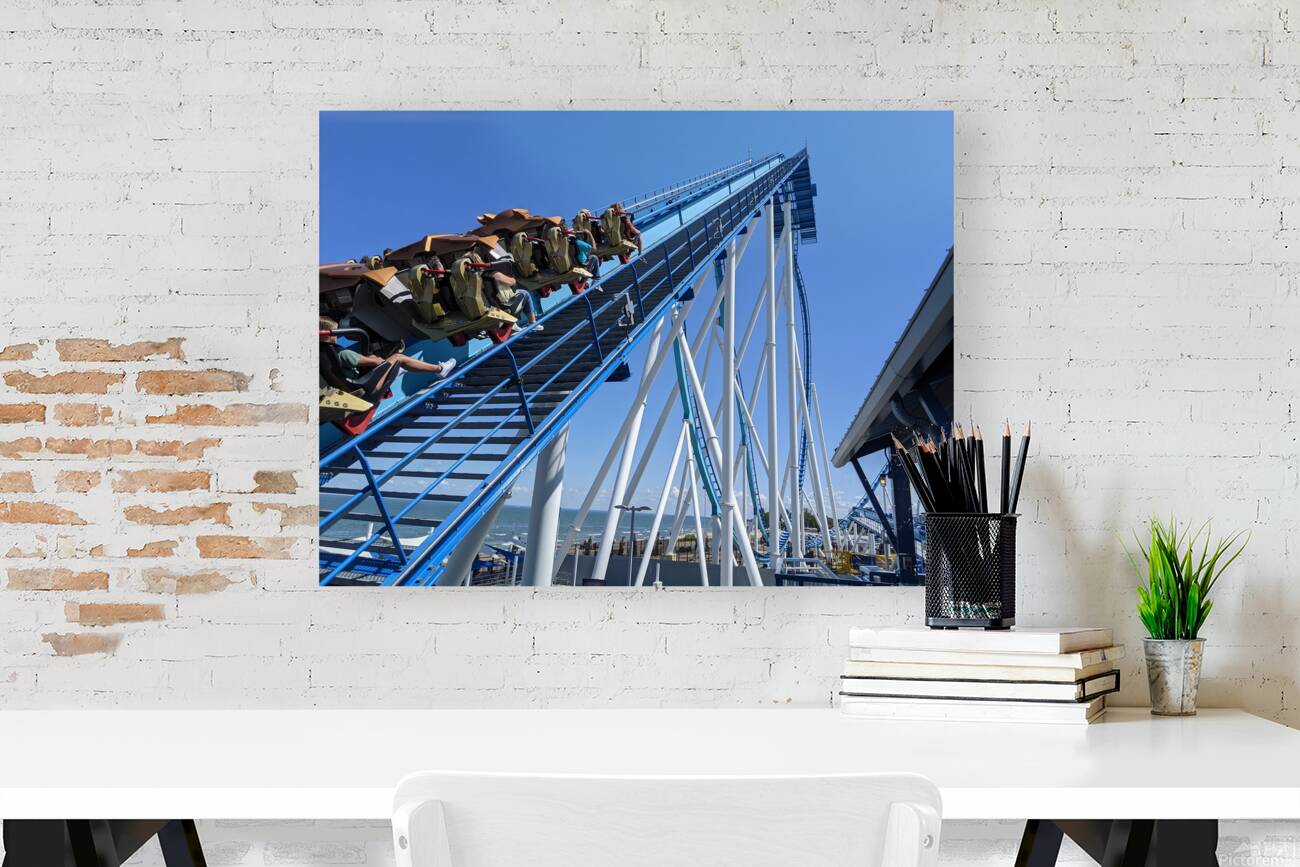 Cedar Point Reproduction