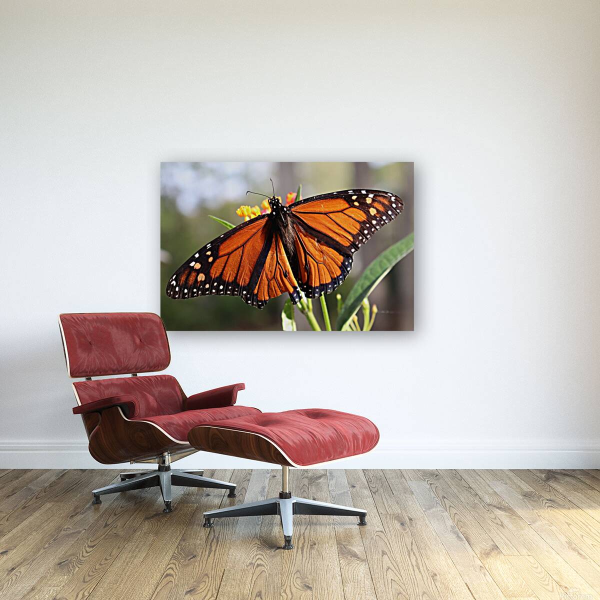 Butterfly Reproduction