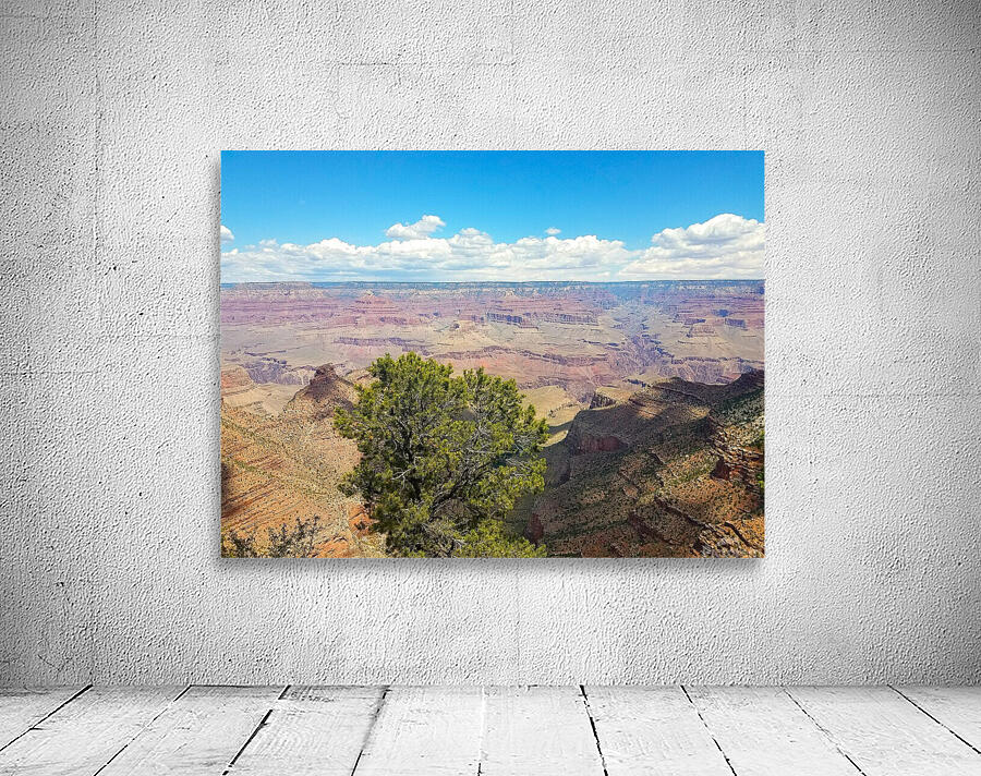 Grand Canyon 1 Wall Preview