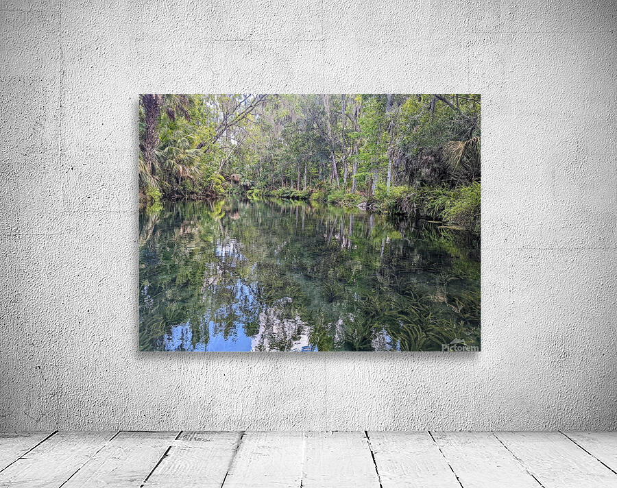 Silver Springs Wall Preview