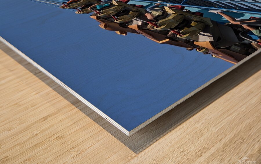 Cedar Point Wood print